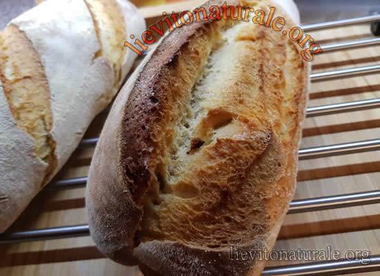 Pane con farina di tritordeum