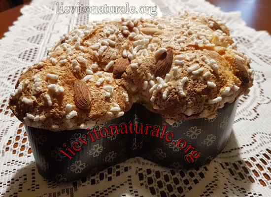 colomba bazzoli