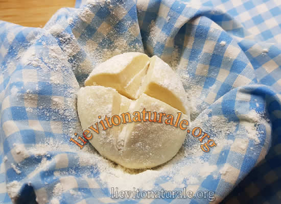 lievito madre rinfresco a secco