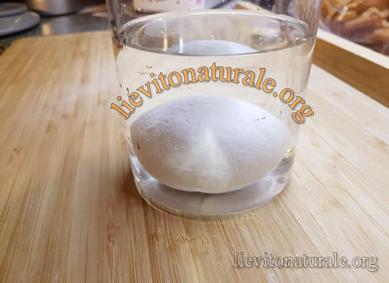 lievito madre in acqua