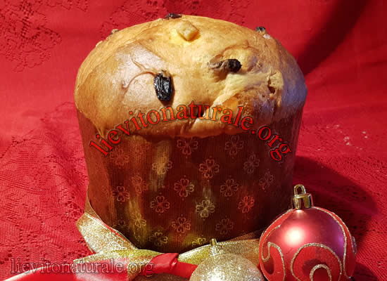 panettone bosco