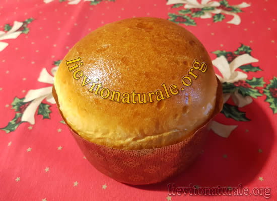 panettone gastronomico