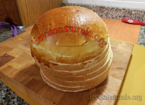 panettone