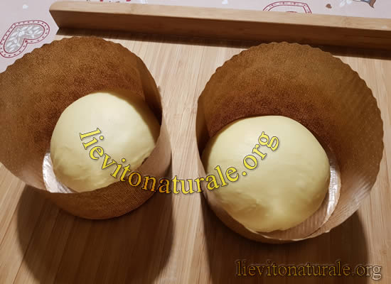 impasto panettone gastronomico