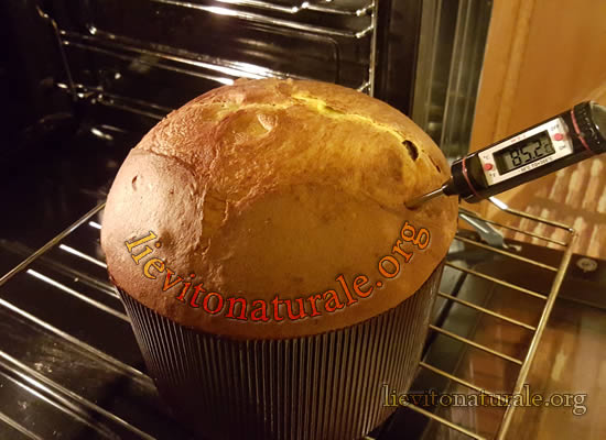 panettone