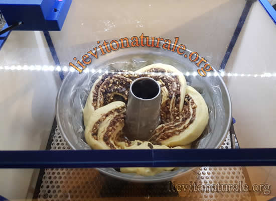 babka in cella lievitazione