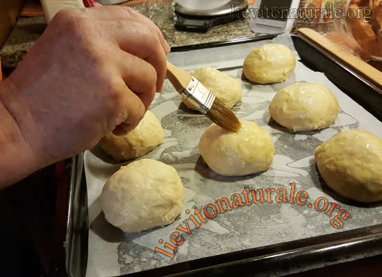 panini per hamburger