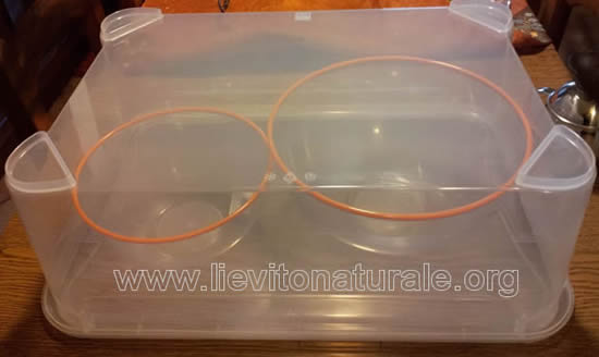 contenitore plastica