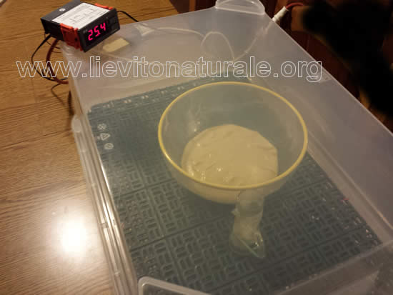 Cella di lievitazione