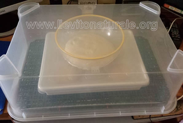 cella lievitazione