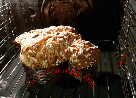 colomba fine cottura