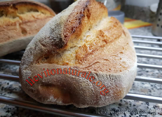 Pane con farina di farro spelta e Lievito Madre Naturale o Pasta Madre e  Farina Macinata a Pietra