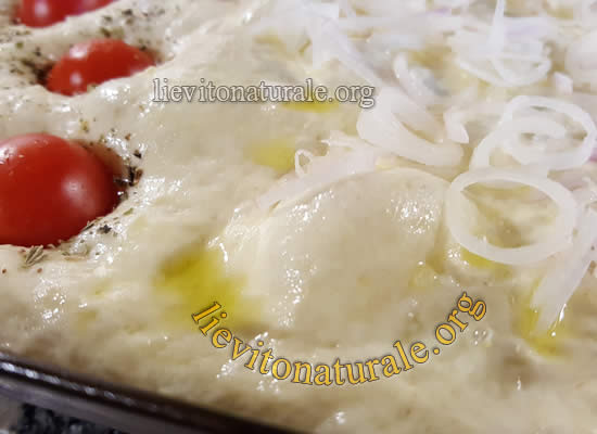 focaccia barese lievitata
