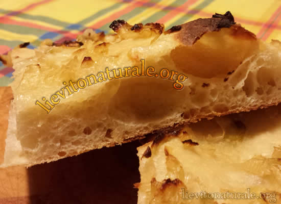 Focaccia Con Cipolle Con Lievito Madre Naturale O Pasta Madre