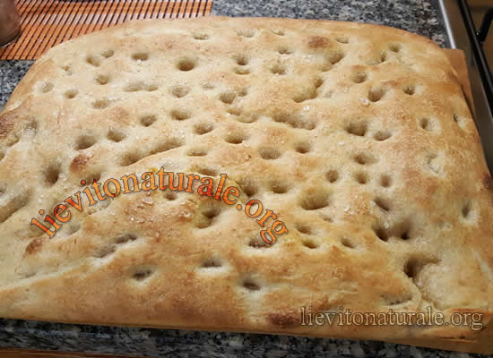 focaccia morbida