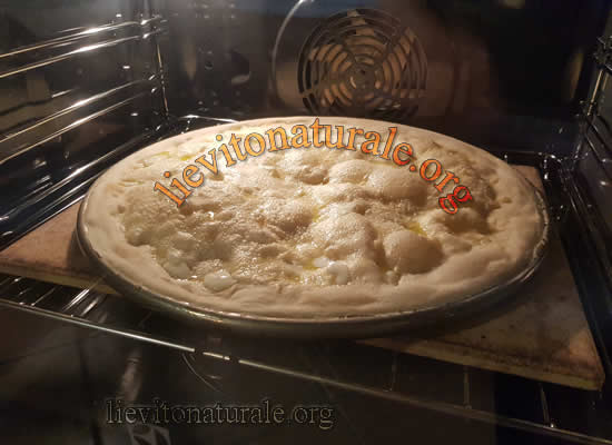 focaccia di recco