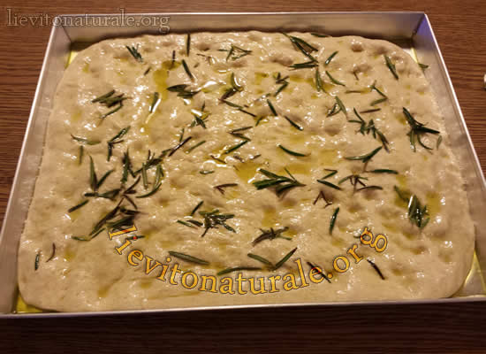 Focaccia rustica in teglia con rosmarino Lievito Naturale o