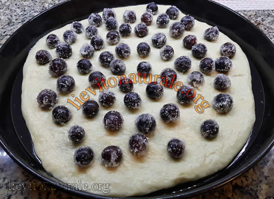 interno focaccia uva