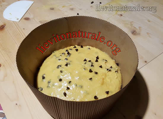 impasto panettone