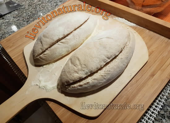 pane pronto per cuocere