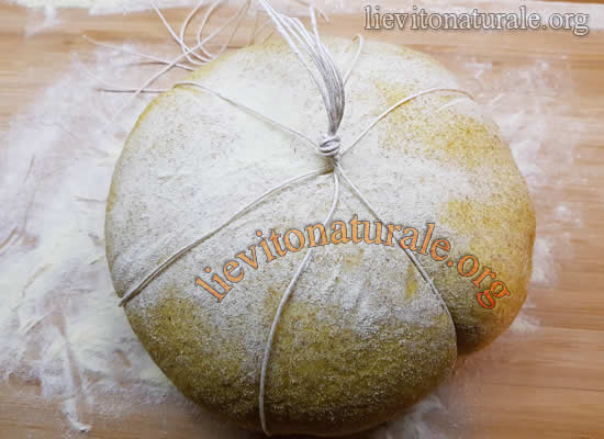 legatura zucca