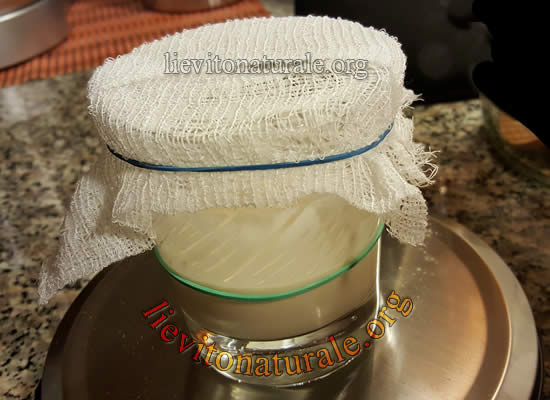 licoli in fermentazione