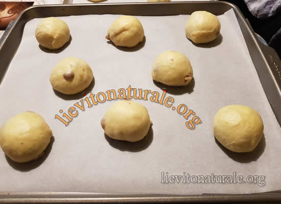 Maritozzi in lievitazione