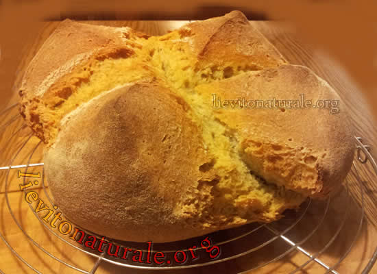 Pane Altamura Con Semola Rimacinata E Lievito Naturale O Pasta Madre