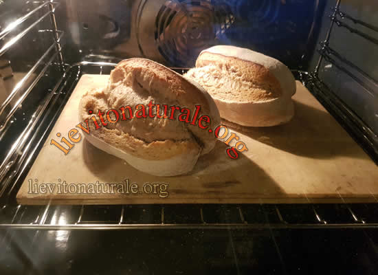 Pane con farina di Avena