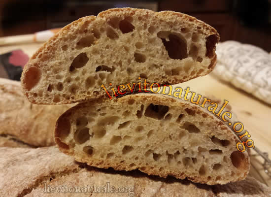 pane ciabatta