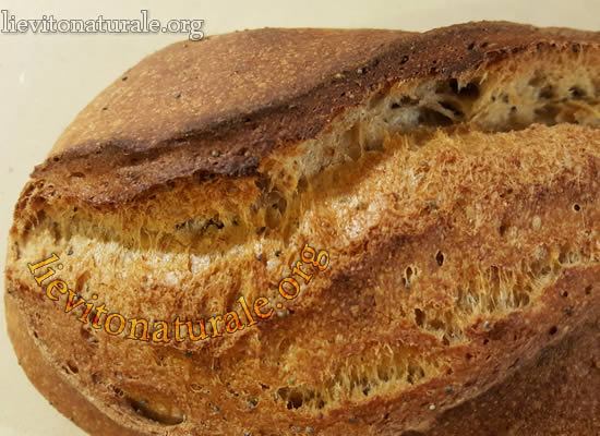 pane comune