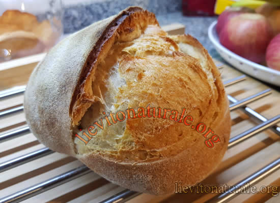 Pane comune con farro spelta