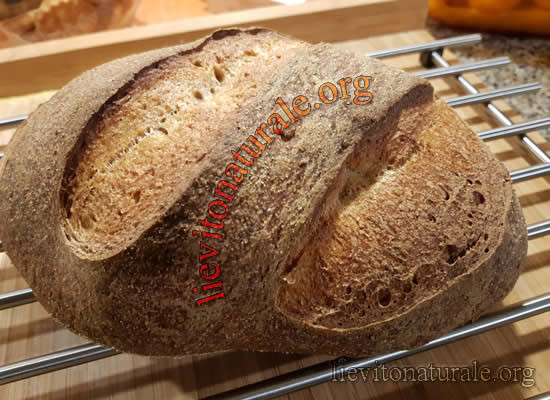 Pane con Patate