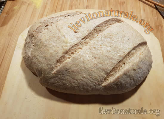 tagli sul pane