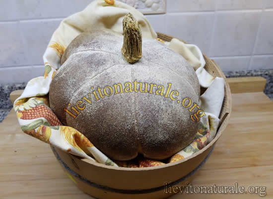 Pane con Zucca