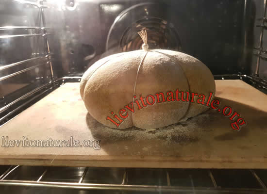 Pane con zucca