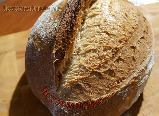 Pane con farro