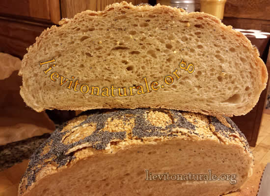 Pane con fodera rete