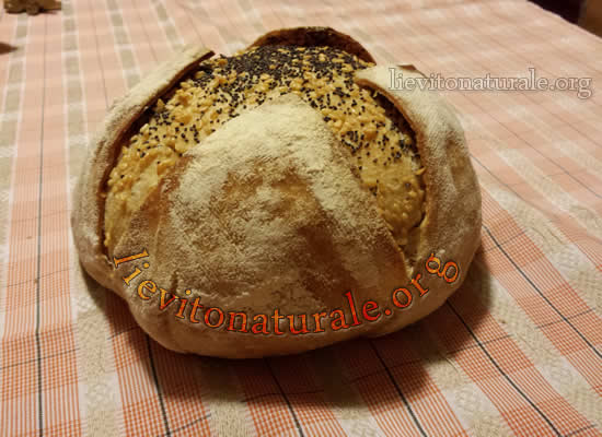 Pane con fodera