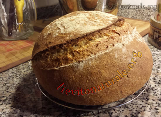 Pane con farina integrale