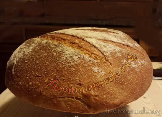 Pane morbido