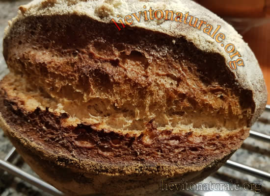 Pane con segale