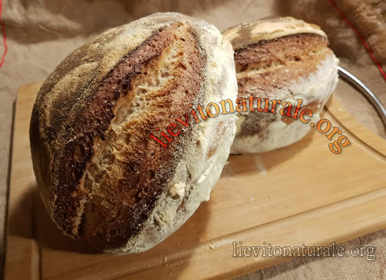 Batuffolando Ricette: Pane di segale e farina tipo 2 (con lievito madre)