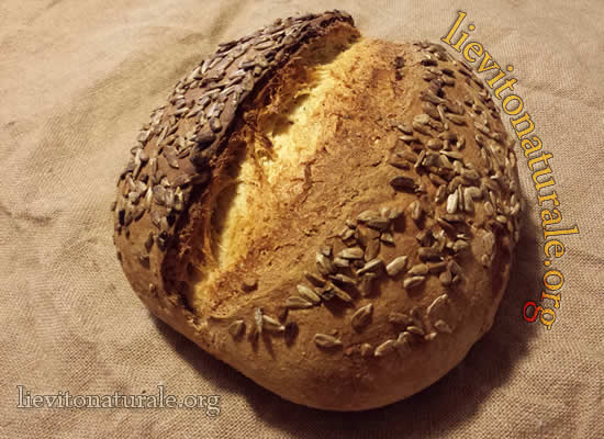 Pane semi di girasole