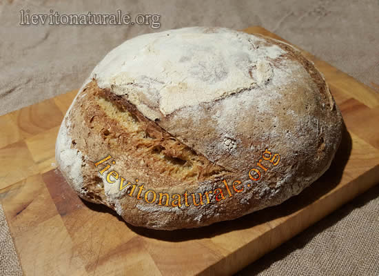 Pane senza impasto