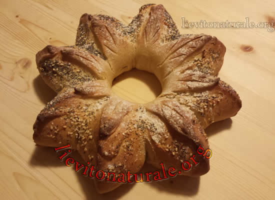 Pane stella 8 punte