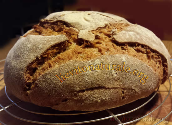 pagnotta di pane toscano con  farro