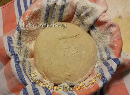 pane toscano lievitazione