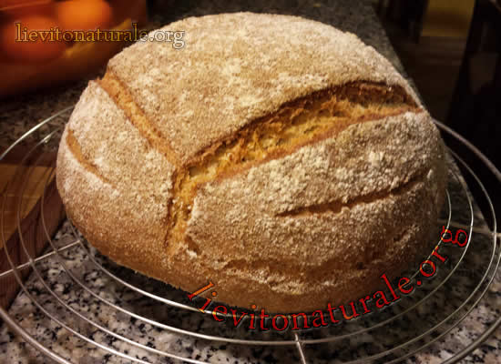 pagnotta di pane toscano con  farro