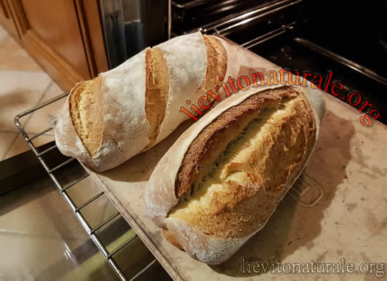 Pane con Tritordeum